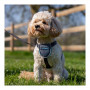 Imbracatura per Cani Company of Animals CarSafe Nero Taglia XS
