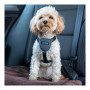 Imbracatura per Cani Company of Animals CarSafe Nero Taglia XS