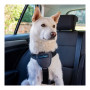 Dog Harness Company of Animals CarSafe Black Size M