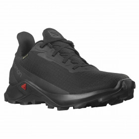 Scarpe da Running per Adulti Salomon Alphacross 3 Gore-Tex 25444 Nero