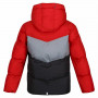 Children's Sports Jacket Regatta Lofthouse VI Red With hood