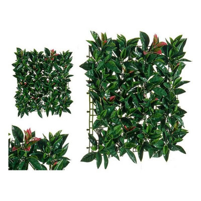 Decorative Plant Green Plastic (50 x 3 x 50 cm)
