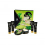 Geisha Organica Thé vert exotique Shunga SH8211