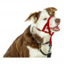 Collari da addestramento per cani Company of Animals Halti Museruola (31-40 cm)