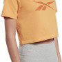 T-shirt à manches courtes femme Reebok RI BL CROP TEE HT6206 Orange